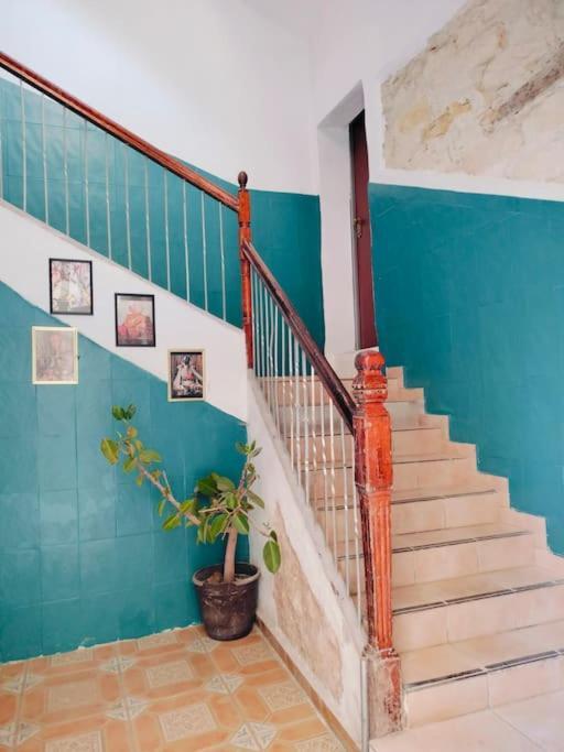 Estudio Coqueto Centrico لقنت المظهر الخارجي الصورة